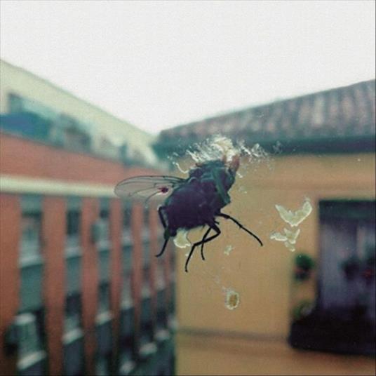 Gran Pantalla - CD Audio di Biznaga