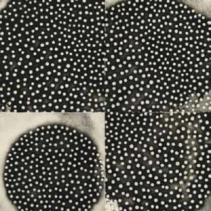 Proximate Forms - CD Audio di K. Leimer