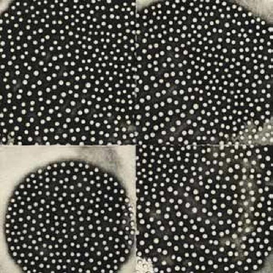 Proximate Forms - CD Audio di K. Leimer