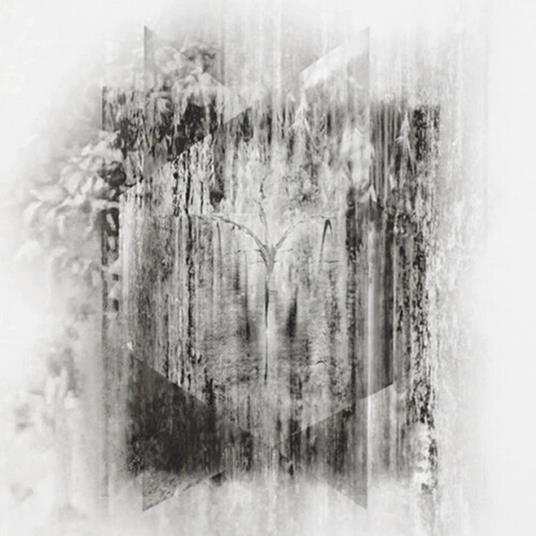 Fluorescent Grey - CD Audio di Three Point Circle