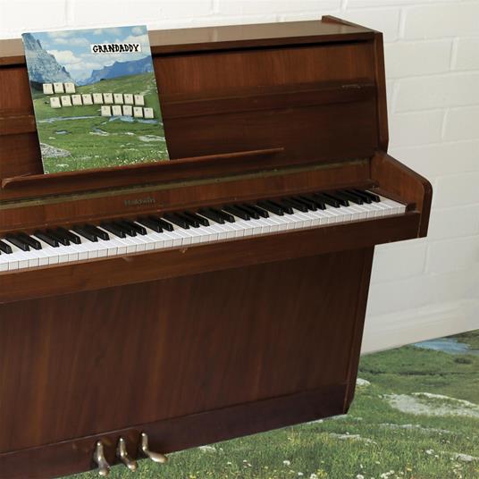 The Sophtware Slump on a Wooden Piano (Pink Vinyl) - Vinile LP di Grandaddy