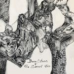 Becca Stevens & the Secret Trio