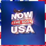 Now That's What I Call USA: The 80s
