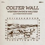 Western Swing & Waltzes And Other Punchy Songs