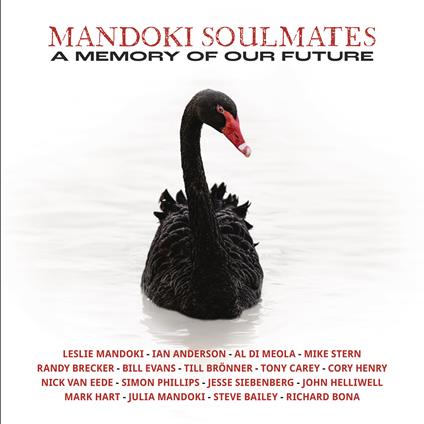 A Memory of Our Future - Vinile LP di ManDoki Soulmates