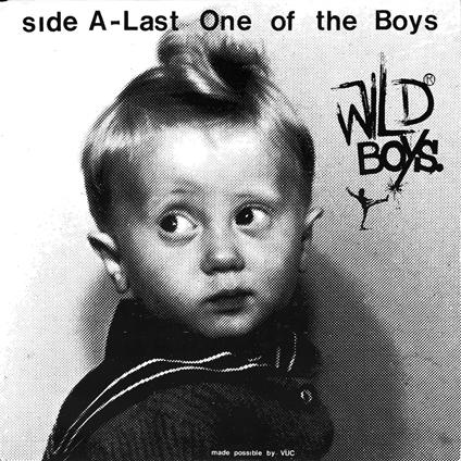 Wild Boys - Last One Of The Boys - Vinile LP di Wild Boys