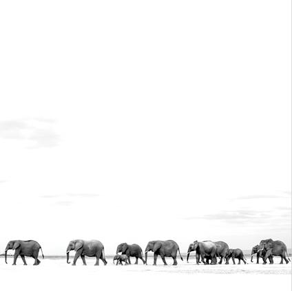 Where Are You Going. The Singles - Vinile LP di Dave Matthews