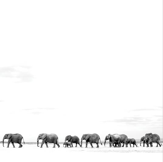 Where Are You Going. The Singles - Vinile LP di Dave Matthews