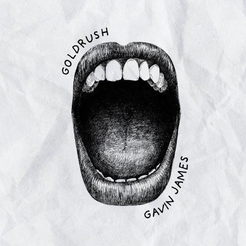 Goldrush - CD Audio di Gavin James