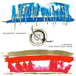 Vinile A Memory and What Came After Asymmetric Universe