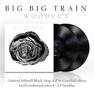 Vinile Woodcut Big Big Train