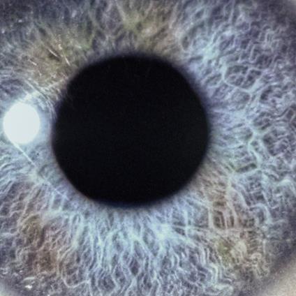 Moontower (Re-Issue) - Vinile LP di Dan Swanö