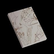 The Sin. Vanish (Afterlight)