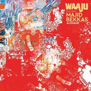 Alouane - CD Audio di Waaju