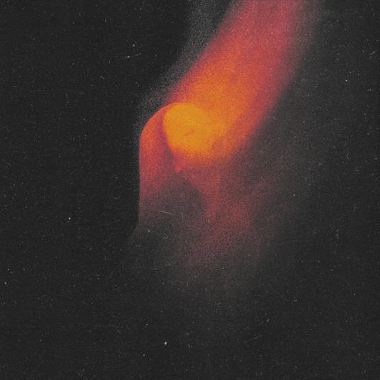 Shape Of Ash - Vinile LP di Leonov