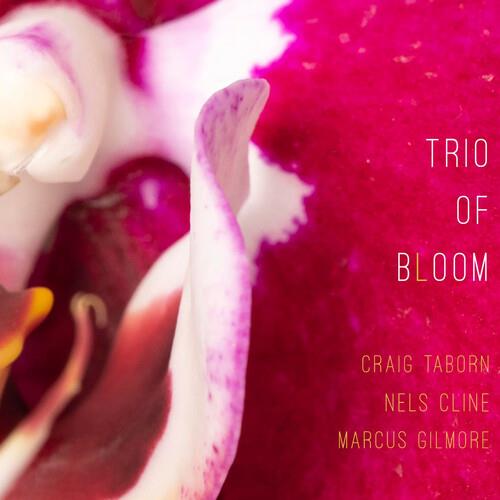 Trio Of Bloom - CD Audio di Trio of Bloom