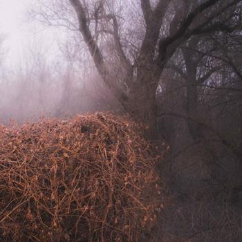 CD Nincs Szennyezetlen Szep di Devil's Trade