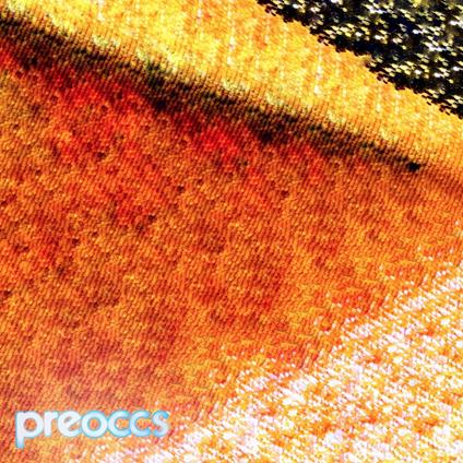 Mur-Ponr - Vinile LP di Preoccupations