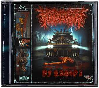 CD Pf Radio 2 Peelingflesh