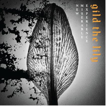 Gild The Lily - Vinile LP di New Miserable Experience