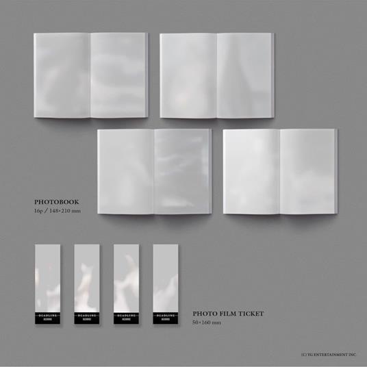 3rd MINI ALBUM [DEADLINE] SILVER Ver._ROSÉ - CD Audio di Blackpink - 3