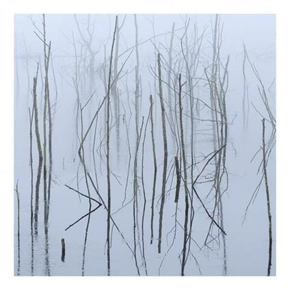 Frozen Bloom - CD Audio di Olhava