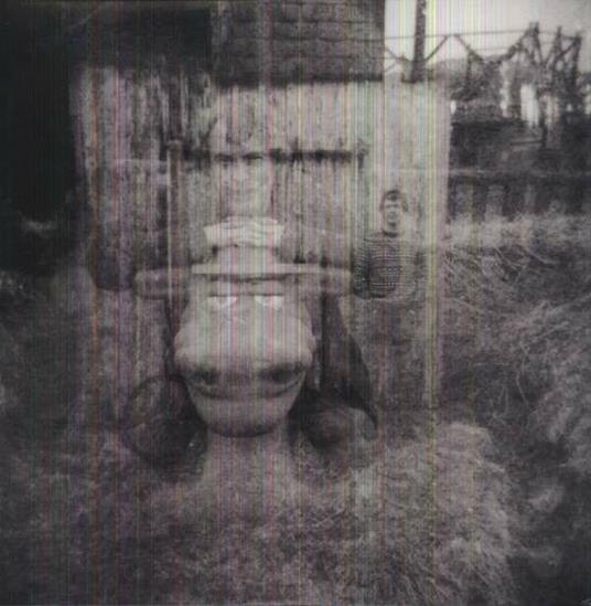 Summer Through My Mind - Vinile LP di Richard Youngs