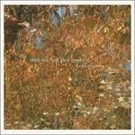 Until You Find Your Green - CD Audio di Baird Sisters