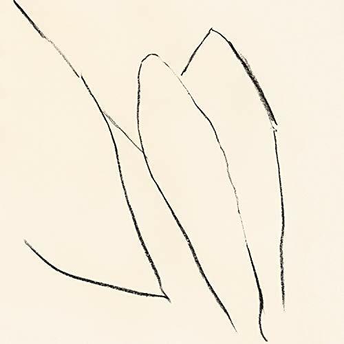 Voices of the Air - Vinile LP di Jon Porras