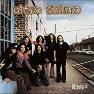 Pronounced Leh-Nerd'skin-Nerd