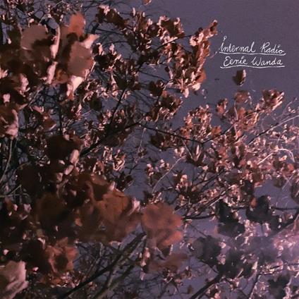 Internal Radio - CD Audio di Eerie Wanda