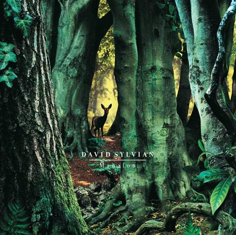 Manafon - Vinile LP di David Sylvian