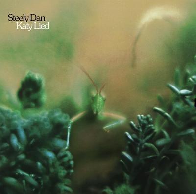 Katy Lied - Vinile LP di Steely Dan