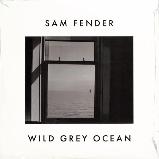 Wild Grey Ocean - Little Bull Of Blithe - Vinile LP di Sam Fender