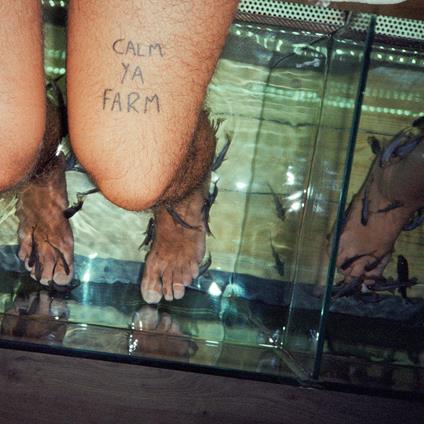 Calm Ya Farm - Vinile LP di Murlocs