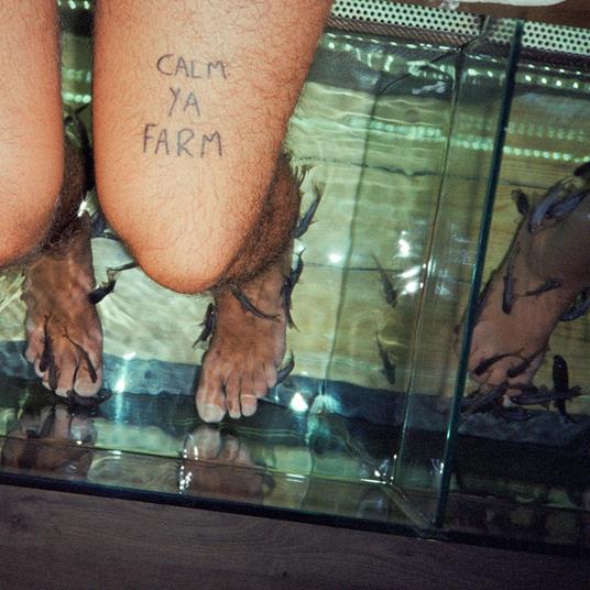 Calm Ya Farm - Vinile LP di Murlocs