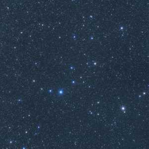 Vinile LA NOTTE ARIETE