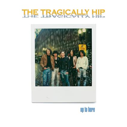 Up To Here 2024 - Vinile LP di Tragically Hip