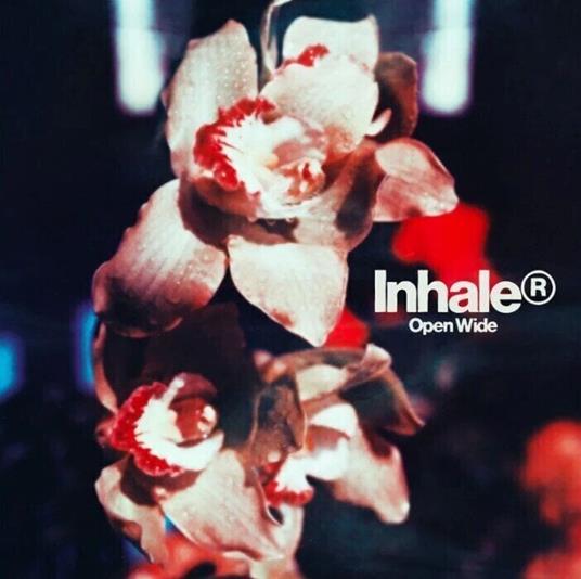 Open Wide - CD Audio di Inhaler