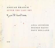 After The Last Sky