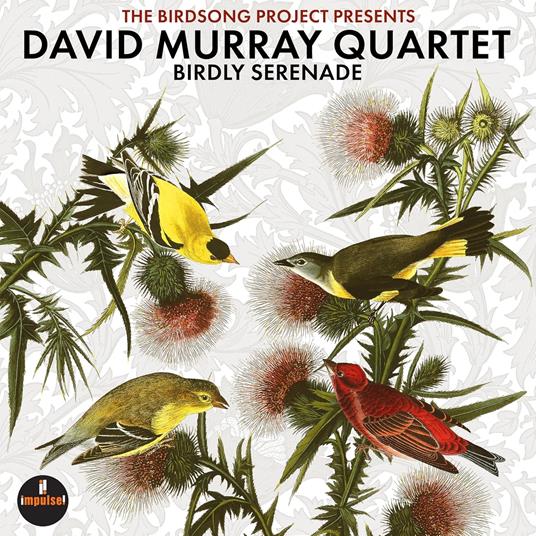 Birdly Serenade - Vinile LP di David Murray - 2