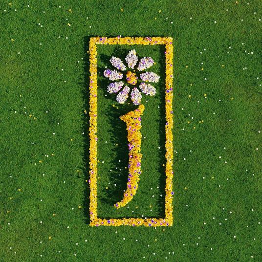 Nothing But Love (Deluxe) - Vinile LP di James - 2