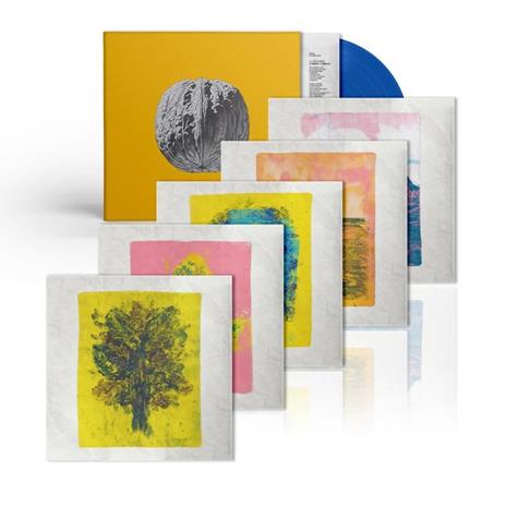 L'albero delle noci (Coloured Vinyl) - Vinile LP di Brunori Sas - 2