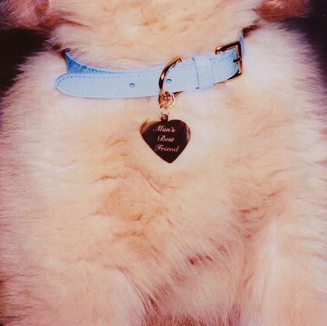 Man's Best Friend (LP colorato azzurro opaco + Poster) - Vinile LP di Sabrina Carpenter - 3