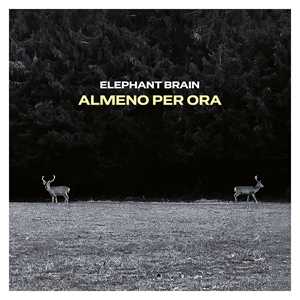 Vinile Almeno per ora Elephant Brain