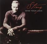Sting. Sand Your Love (DVD)
