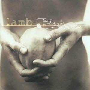 Between Darkness And Wonder - CD Audio di Lamb
