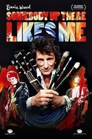 Somebody Up There Likes Me (DVD) - DVD di Ronnie Wood
