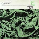 Byrd in Flight