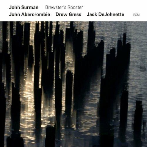 Brewster's Rooster - CD Audio di John Surman